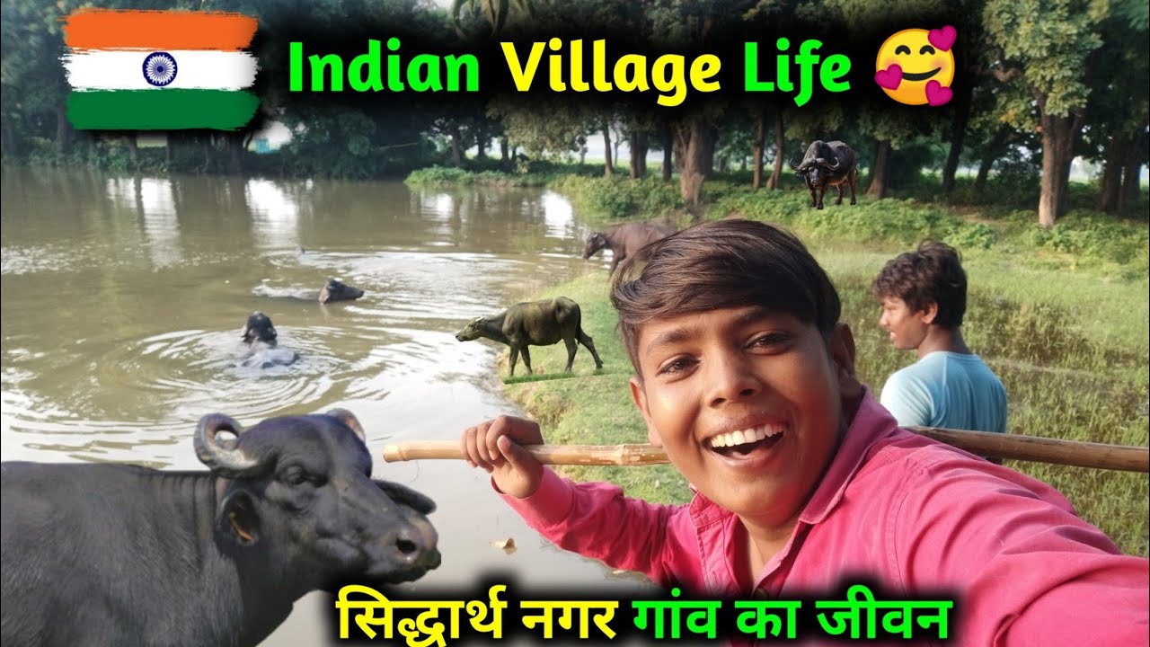Indian Village Life Up | Sidharth Nagar Village | Up Ke Gaon