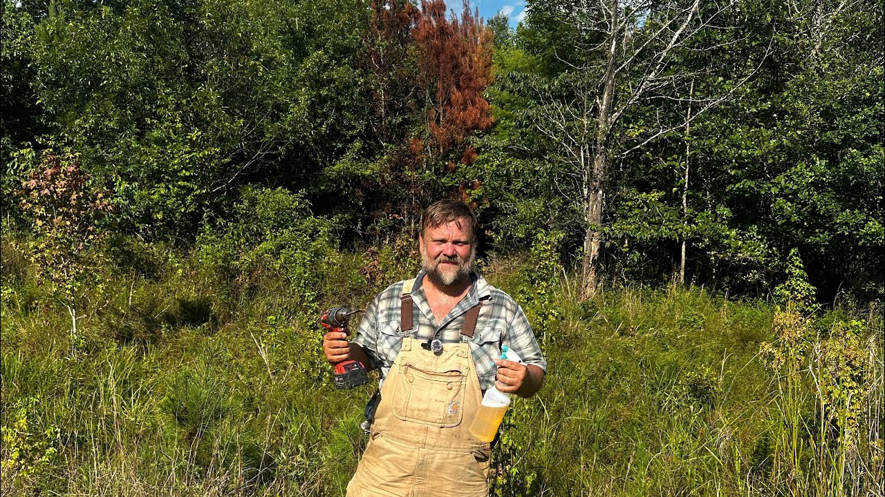 The Riverstead: Poor Man’s Hack & Squirt (Easiest Way to Kill Unwanted Trees)