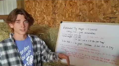 Estimating the weight of a pig with a hog tape