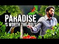 The Beautiful Descriptions Of Paradise - Nouman Ali Khan