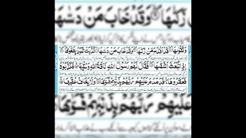 Surah Ash Shams | Part 2 |❤️