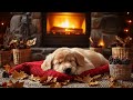 12 Hours of Calming Dog Music 🎵 Gentle Sounds for Happy, Relaxed Dogs at Home 🐶