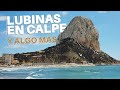 🔱Pesca submarina en ALICANTE. Aprendiendo a pescar. Ep.3 (DOBLETE LUBINAS)