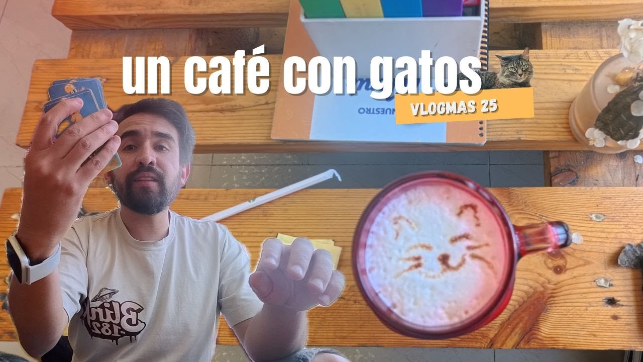 GatoLatte, un café para los amantes de los gatos (Vlogmas 25)