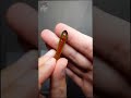 このワーム知ってる？答えはコメント欄へ【バス釣り】