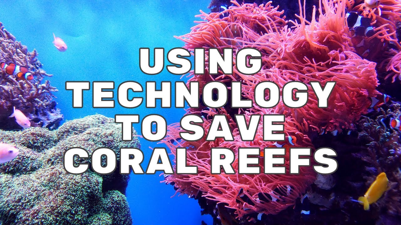 Using Technology to Save Coral Reefs | Mission Unstoppable - YouTube