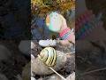 Fun Toys | Bug Insect Names for Kids to Learn at the Brook: Snail Fly Scarab Beetle Earthworm