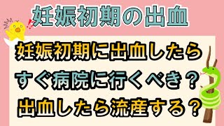 妊娠初期に出血したら すぐ病院に行くべき 出血したら流産する Youtube 妊娠初期に出血したら すぐ病院に行くべき 出血したら流産する Youtube