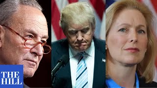 Sen. Schumer and Sen. Gillibrand BLAST Trump, Republicans on COVID-19 relief