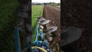 Pług 3 skibowy obrotowy - Rabewerk Taube K60
