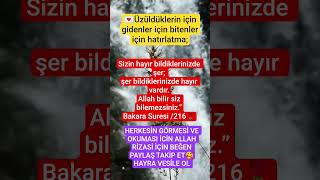 Üzüldüklerin Için Gidenler Için Bitenleriçin Hatırlatma