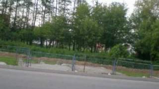 Trnska Raja Hq - By Monika Tomic