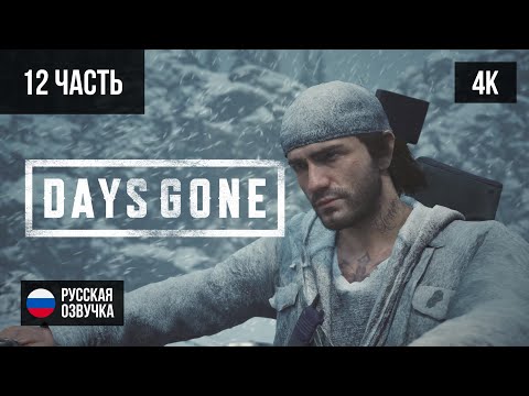 Видео: #12 ПРОХОЖДЕНИЕ DAYS GONE/ЖИЗНЬ ПОСЛЕ (2019, PS5/4K) БЕЗ КОММЕНТАРИЕВ