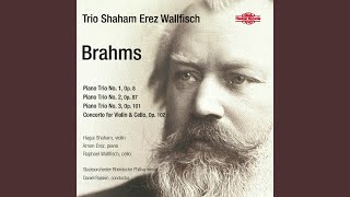 Piano Trio No. 1 in B Major, Op. 8: I. Allegro con brio
