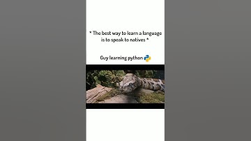 Best way to learn python 🐍🐍~ Harry Potter #memecoding #funny #meme