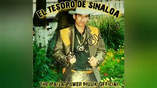El Tesoro De Sinaloa - Puras Moviditas - Al Estilo De Los 90s