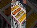 Guess kro Kiski party hai …? #minivlog #dailyvlog #sweets #viral #party