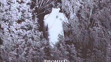 Promise and the Monster - A Room With No View