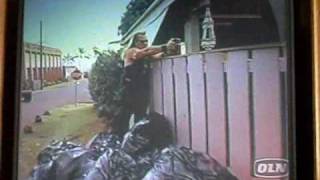 Dog and Tim Pushing Fence Down Information