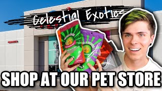 I OPENED MY OWN PET STORE!!