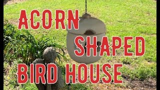 Acorn Shaped Birch Bird House