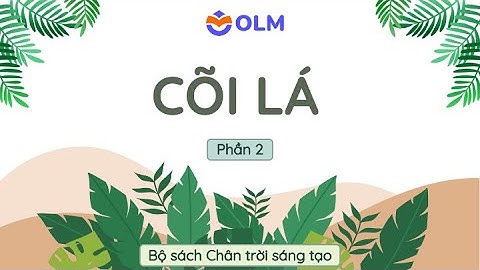 Cõi lá (Phần 2) - Ngữ văn 11 Chân trời sáng tạo