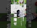 【腹筋より10倍痩せる】初心者が本気でお腹痩せする4つの方法 #ダイエット #お腹痩せ #fitness