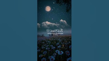 ولقد نعلم أنك يضيق صدرك بما يقولون القارئ هزاع البلوشي