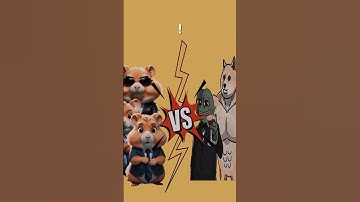 hamster combat vs memefi‼️ #hamsterkombat #memefi #memeficoin #hamsterkombatdailycombo