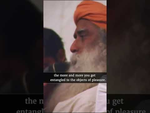 What is Pleasure? | Sadhguru | Spirituality