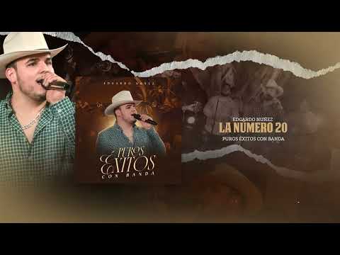 La Numero 20 - Edgardo Nuñez [Audio Oficial]