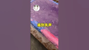 Em lên cơn cái gì nữa đó???  #funny  #haihuoc #shorts