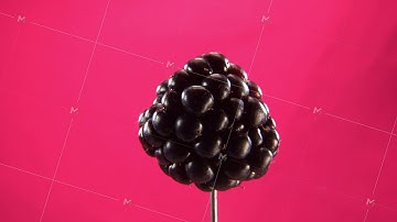 Blackberry rotating with loop on fuchsia screen for chroma key