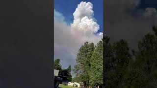 #LavaFire Pyrocumulus