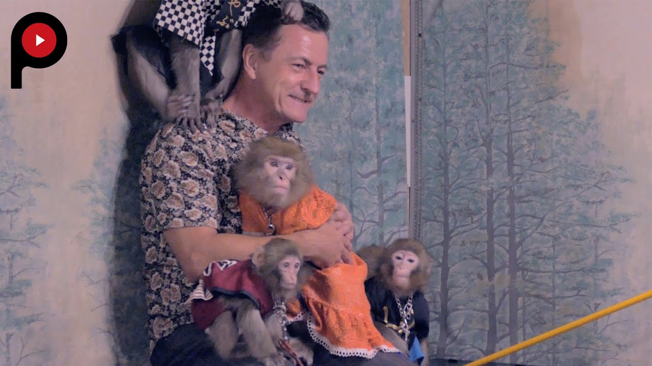 Izakaya Kayabuki | Weirdest Monkey Tavern!!! inbound officer คือ