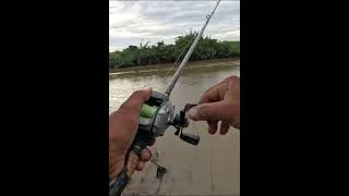 The Natural Fishing At The Rive #catchingfish