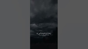 اكتب شي تؤجر عليه 🤍 | القارئ اسلام صبحي | قرآن كريم
