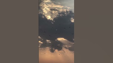 #قرآن #اكسبلور #explore #لايك  #تلاوات #duet #ترند #قرآن #قرآن