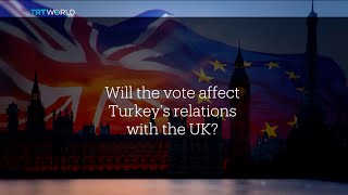 Professor Gulnur Aybet talks about effects of Brexit on Turkey-EU relations