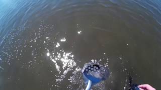 Friendly Metal Detecting - beach metal detecting