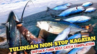 Skipjack Tuna Hunting Compilation | The Best Of Tandol Fishing 2023