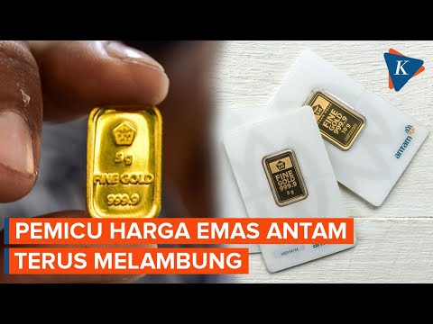Harga Emas Antam Terus Melambung, Apa Penyebabnya?
