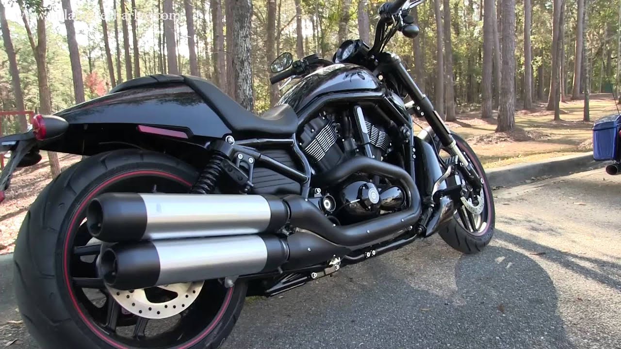 2019 Harley Davidson Night Rod Special  for sale YouTube