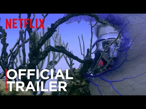 Video Chasing Coral | Official Trailer [HD] | Netflix