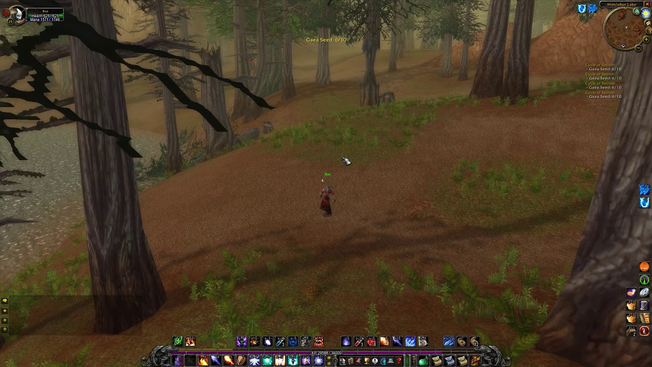 Cycle of Rebirth WoW Classic Quest YouTube