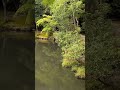 The Scenic Edo Japanese Garden