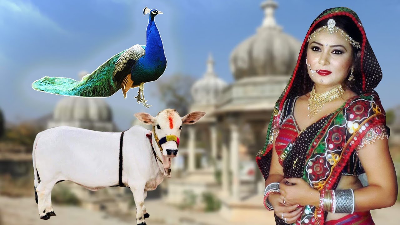 भजन तो बहुत सुने पर ऐसा भजन आपने कभी भी नहीं सुना होगा ~New Bhajan |Non Stop Meera Krishan Ke Bhajan