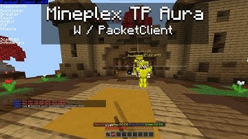 Mineplex TP Aura with Packet Client!