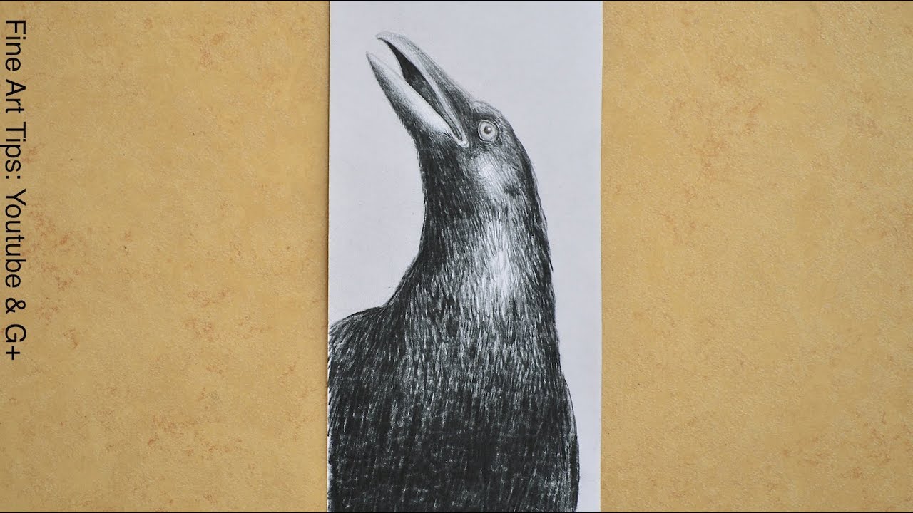 ⁣How to Draw a Crow