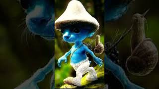 smurf cat music beats song